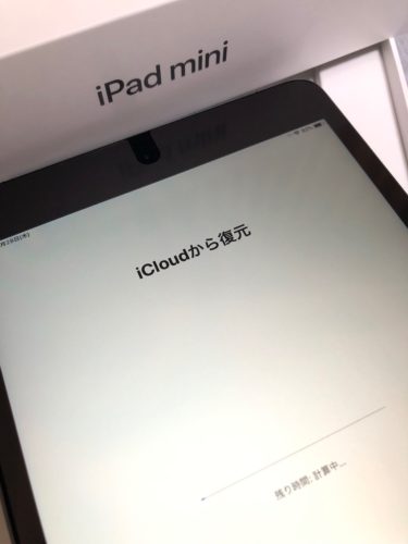 iPad mini (第5世代)を発売日初日にGet！我が家にiPad mini 5がやってきた！